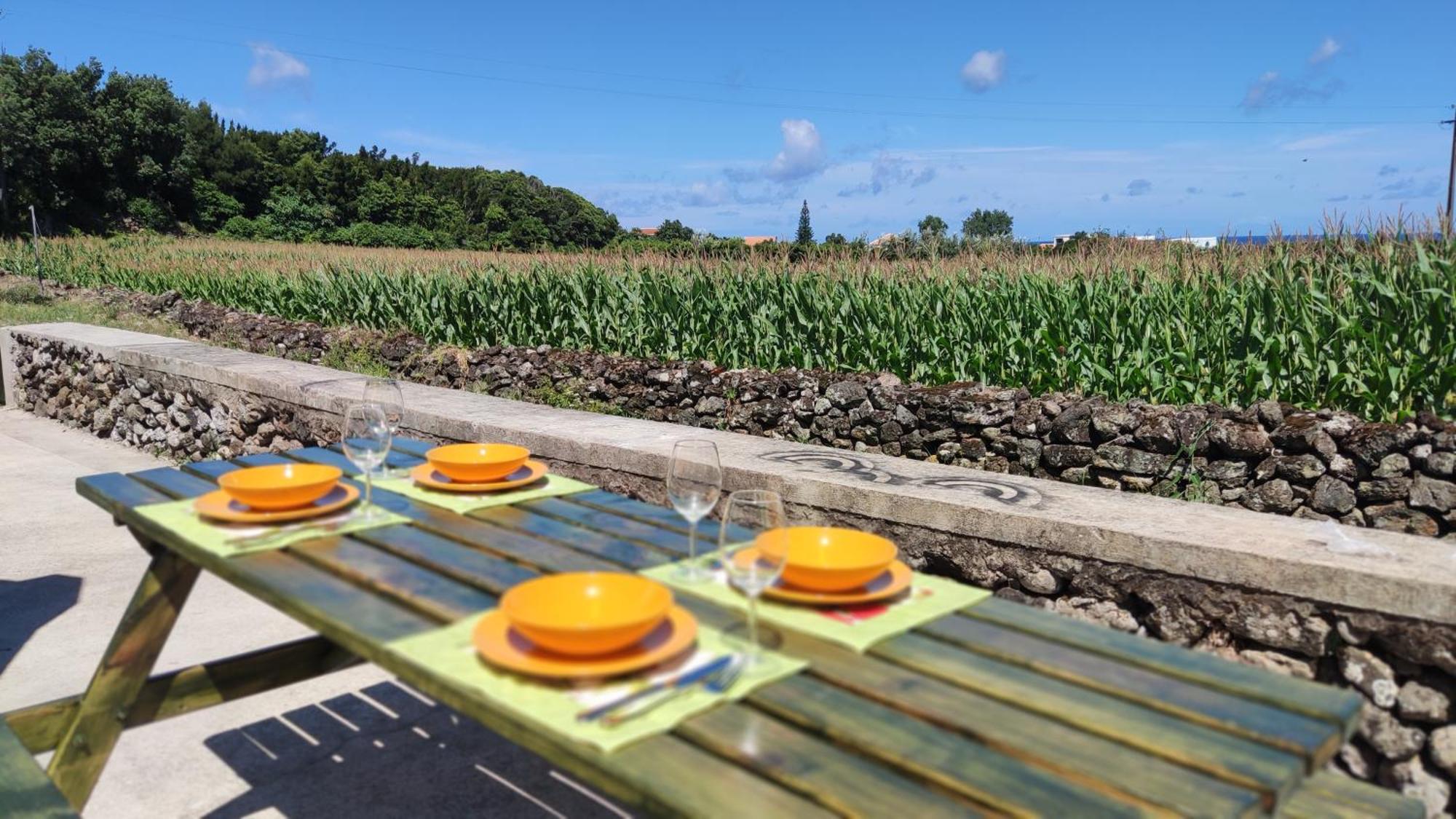 Biscoitos  Casa Dos Meus Avos Alヴィラ エクステリア 写真